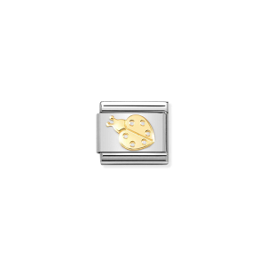 NOMINATION ACO LINK 030162/74