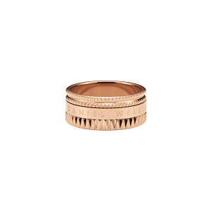 DANIEL WELLINGTON ANEL DW00400199