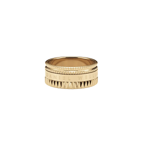 DANIEL WELLINGTON ANEL DW00400272