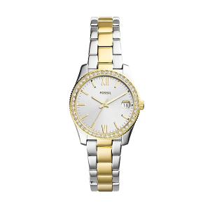 FOSSIL RELOGIO ES4319