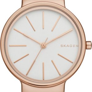 SKAGEN OUTLET RELOGIO SKW2481