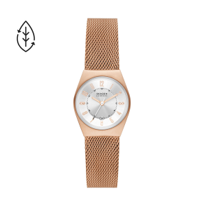 SKAGEN RELOGIO SKW3035