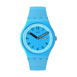 SWATCH RELOGIO SO29S702