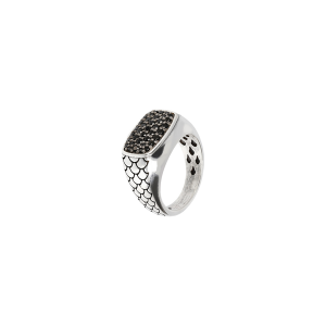 ALBERT M. ANEL WSOX00077.BS-22
