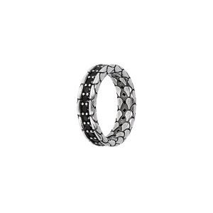 ALBERT M. ANEL WSOX00365.BS-22