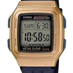 Casio Relógios 342877